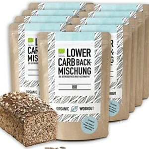 Organic Workout LOWER-CARB-BACKMISCHUNG 10er Pack